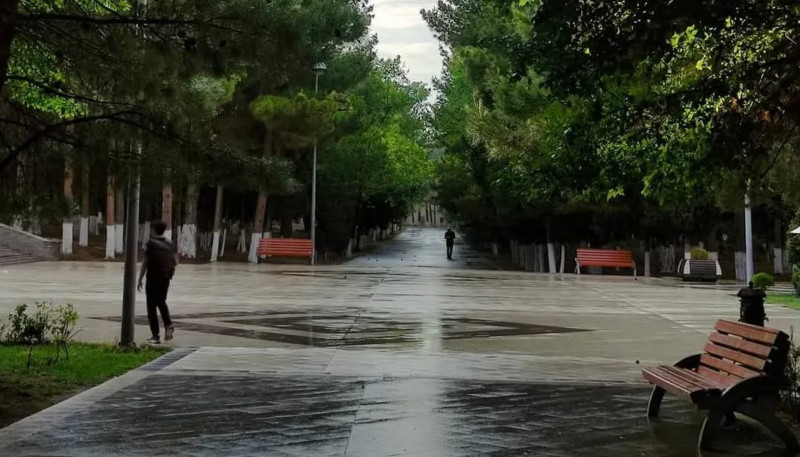 “Nəsimi” parkında yeni ağaclar əkiləcək - AÇIQLAMA