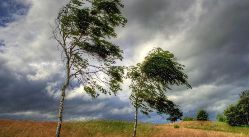 Hazırda külək əsir - Faktiki hava