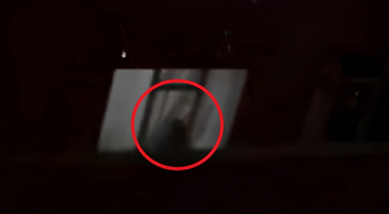 Abşerondan tükürpədici GÖRÜNTÜLƏR - VİDEO