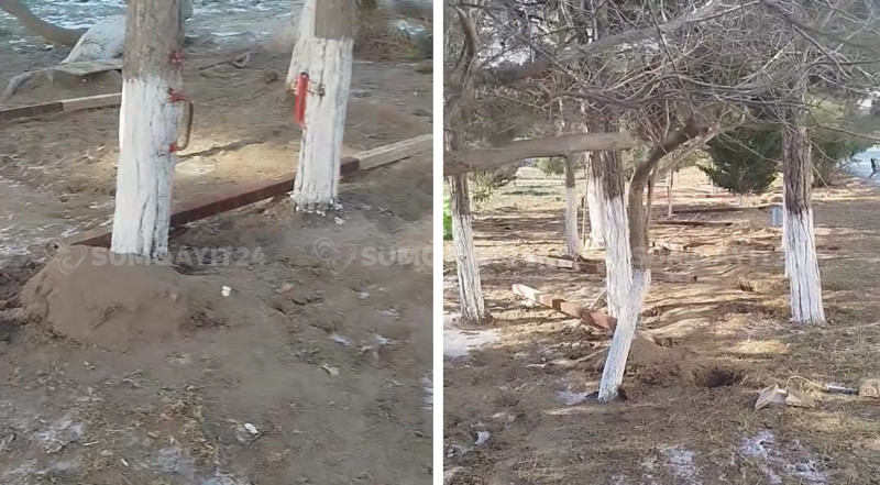 Nəsimi parkında ərazi hasarlanır, yaşıllıq məhv ediləcək? - VİDEO