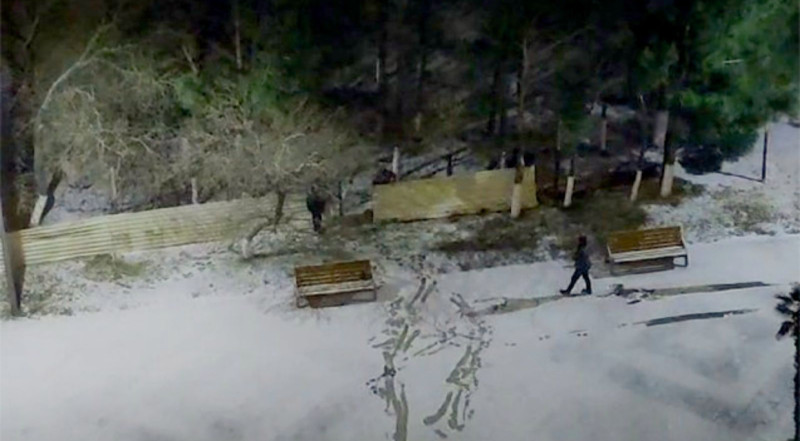 Sumqayıtdakı parkda ağaclar kəsilir? - Açıqlama - Video