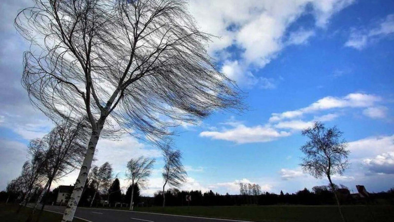 Sabah güclü külək əsəcək - XƏBƏRDARLIQ