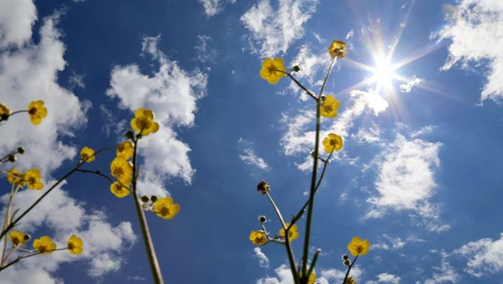 Sabah 17 dərəcə isti olacaq