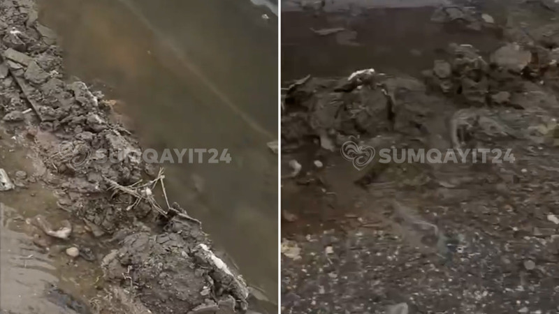 “Corat Bağları”nda küçə çirkab sularına qərq olur