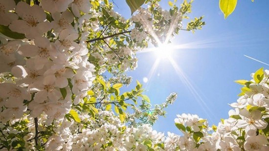 Aprelin havası necə olacaq?