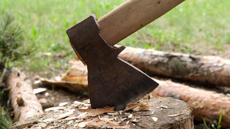 Çerkassı küçəsində ağac qətliamı