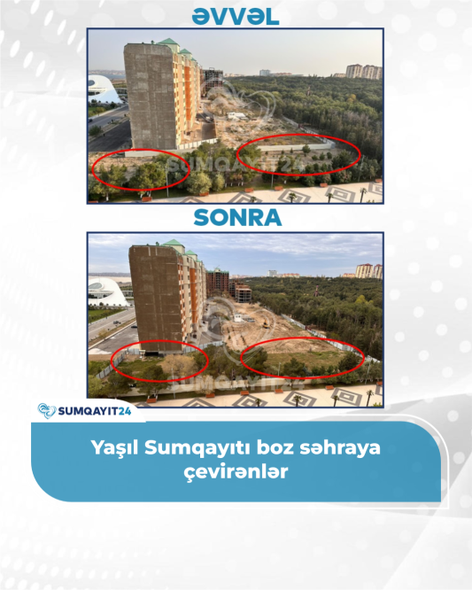 Yaşıl Sumqayıtı boz səhraya çevirənlər