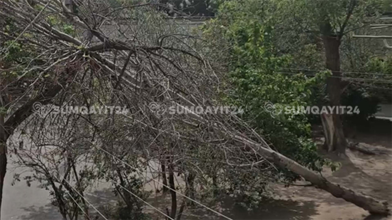 Sumqayıtda qarın fəsadları aradan qaldırılmayıb - BİGANƏLİK