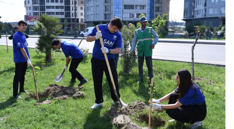 Sumqayıtın giriş hissəsi yaşıllaşdırıldı