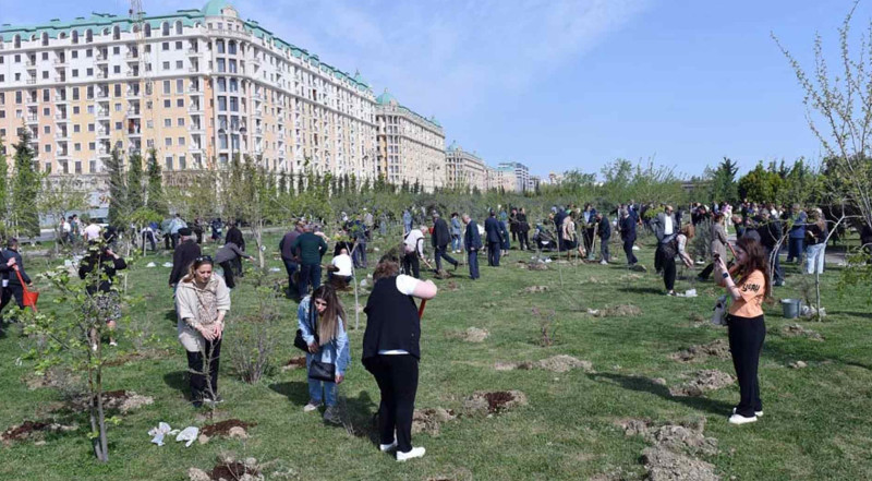 Sumqayıtın yaşıllaşdırılmasına 300 MİN MANAT XƏRCLƏNƏCƏK