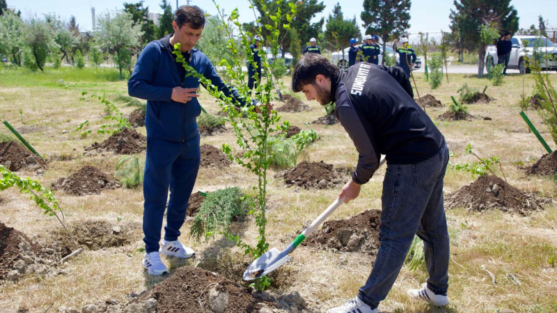 Sumqayıt FK-nın əməkdaşları ekoaksiyada iştirak ediblər