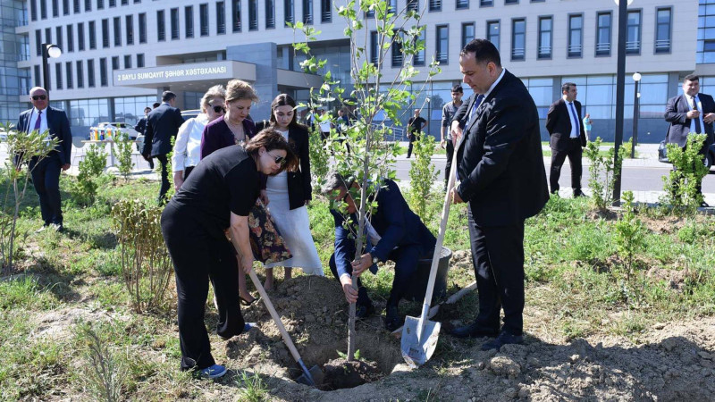 Sumqayıtda xəstəxananın həyətyanı sahəsi yaşıllaşdırılıb