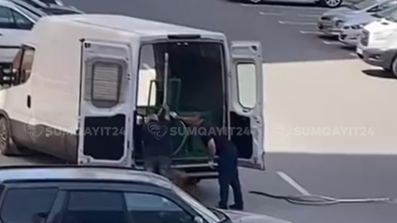 Saraya “İT OVÇULARI” gəlib - VİDEO