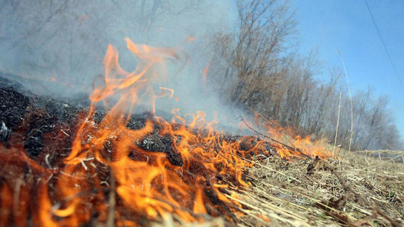Bakı-Quba yolunda yanğın: İşçi xəsarət alıb