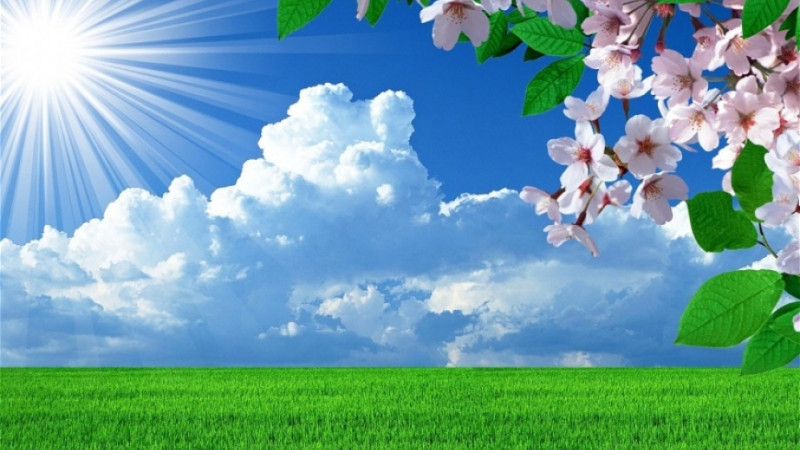 Azərbaycana yay gəldi! 