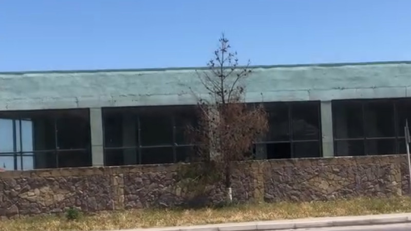 Sarayda sahibkar ağacları qəsdən qurudur? - İDDİA - VİDEO