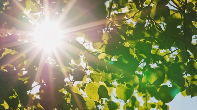 Sumqayıtda hava yenidən isinir