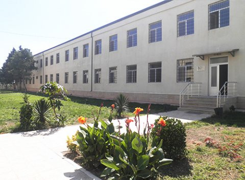 Sumqayıt sakini DAMARLARINI DOĞRAYIB