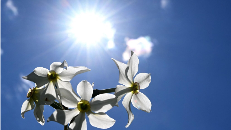 Sabah Sumqayıtda hava küləkli olacaq