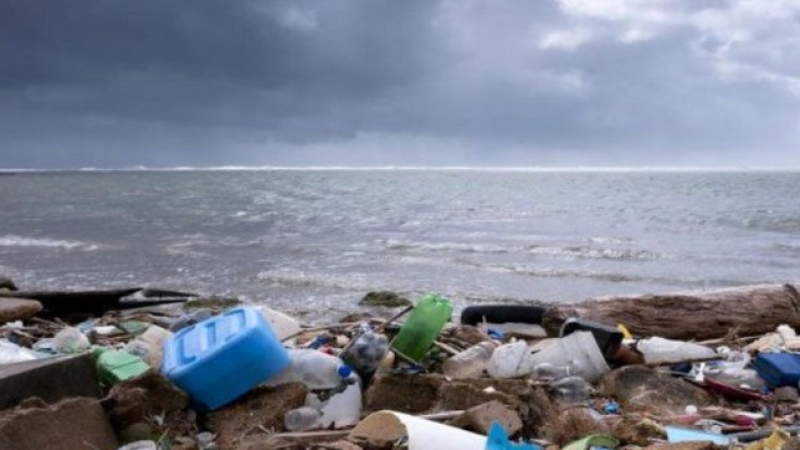 Sumqayıt sahilini zibilləyənlər CƏZALANDIRILDI