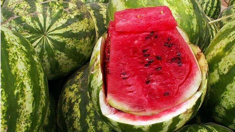 Son iki ayda qarpızdan 16 nəfər zəhərlənib