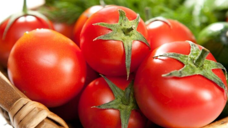 Bəxtiyarın “pomidor planı” – 90 minlik FIRILDAQ