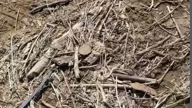 Novxanıda ödənişsiz çimərliyin ACINACAQLI VƏZİYYƏTİ