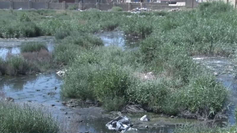 Sumqayıtda 500-ə yaxın sakinin kabusuna çevrilən PROBLEM