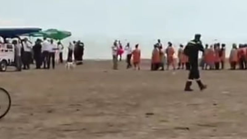 Sumqayıtda təmiz olan ərazidə iməcilik işi aparılıb- İDDİA - VİDEO