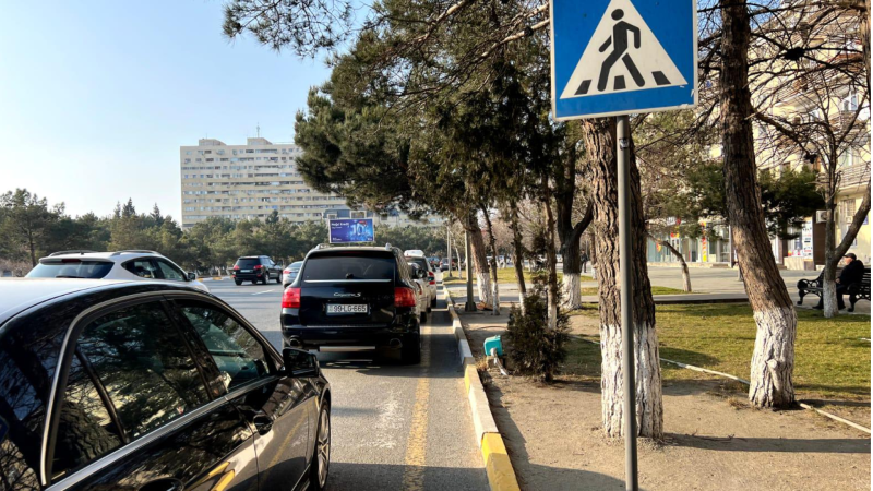 Sumqayıtda ağacların arasında “gizlənən” TƏHLÜKƏ