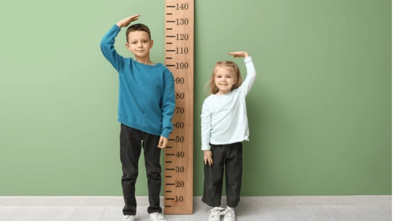 Boyunuz və çəkiniz bu statistikaya uyğundurmu?