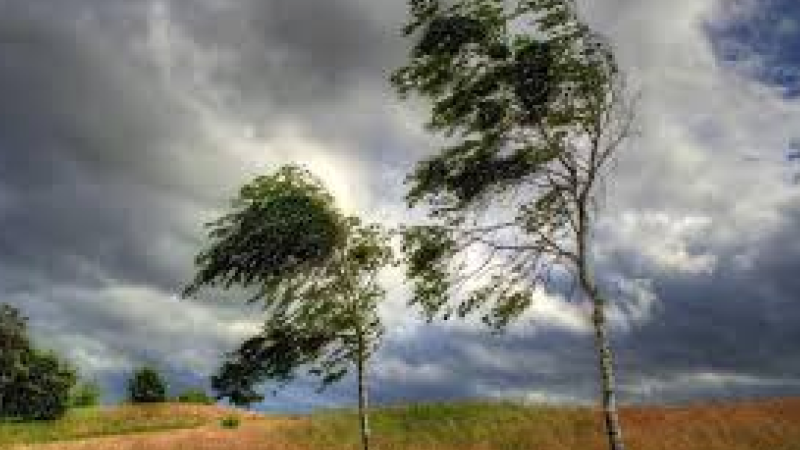 Sumqayıtda küləkli hava şəraiti ilə bağlı XƏBƏRDARLIQ