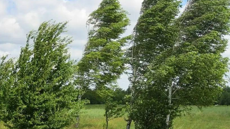 Sumqayıtda güclü külək əsəcək - XƏBƏRDARLIQ Sumqayıtda güclü külək əsəcək - XƏBƏRDARLIQ