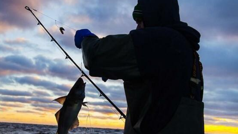 Azərbaycanda bu tarixdən balıq ovuna icazə veriləcək