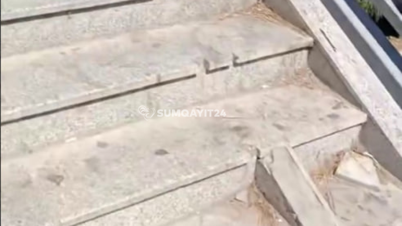 Ceyranbatanda pandus PROBLEMİ 