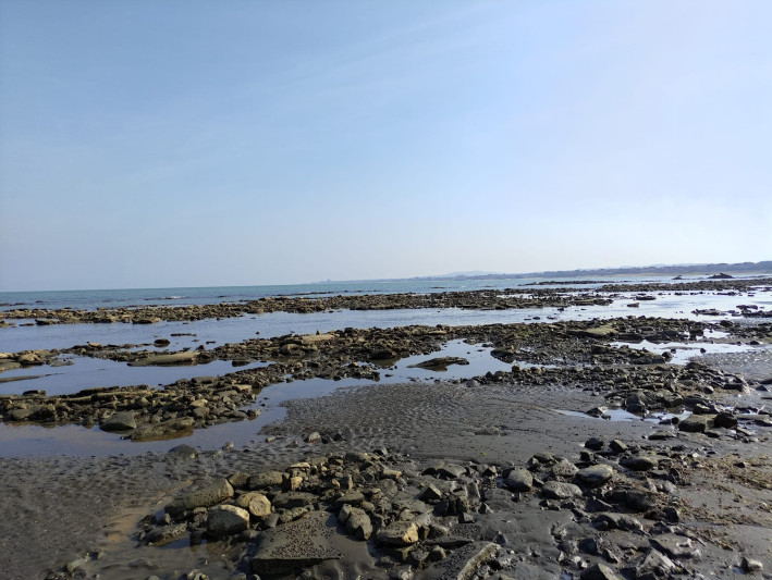 Xəzərin suyunun duzsulaşdırılmasına 400 milyon dollar XƏRCLƏNƏCƏK 