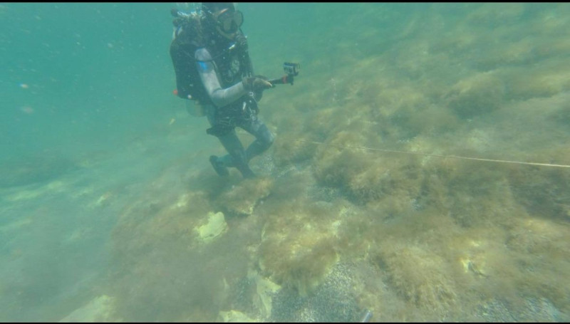 Sumqayıt və Aktau şəhərini birləşdirən layihə ilə bağlı YENİLİK