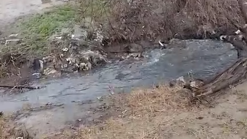 Sarayda evləri kanalizasiya suları basıb Sarayda evləri kanalizasiya suları basıb