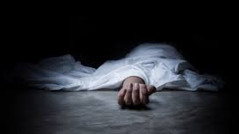 Sarayda qadın öldürülüb, qaynı şübhəli bilinir