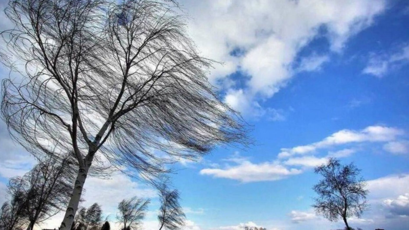 Sumqayıtda güclü külək ƏSƏCƏK Sumqayıtda güclü külək ƏSƏCƏK