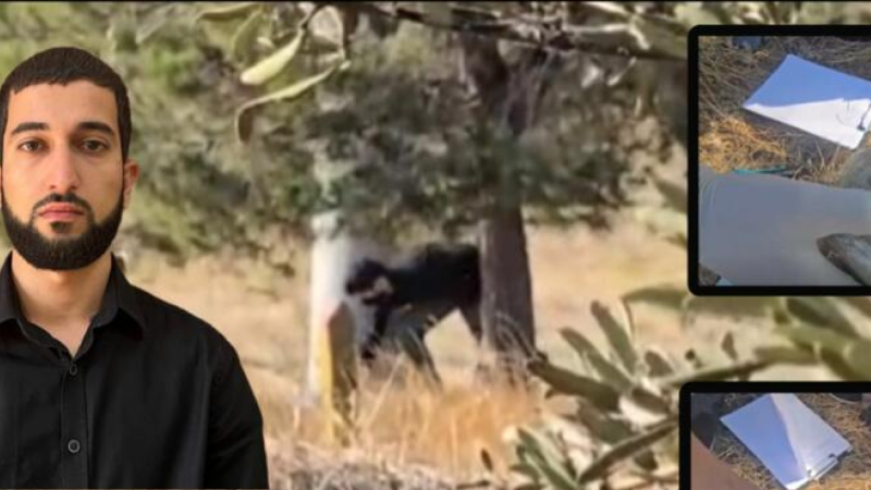 Narkokuryerlik edən sumqayıtlı saxlanıldı