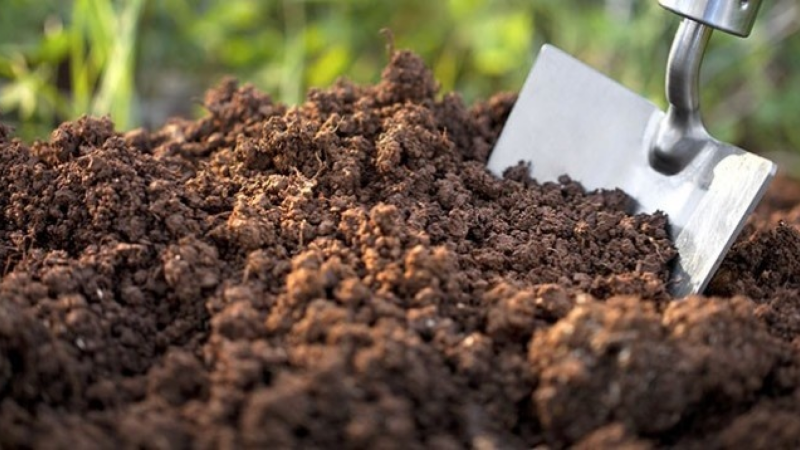 Sumqayıtda torpaq almaq istəyənlərin NƏZƏRİNƏ