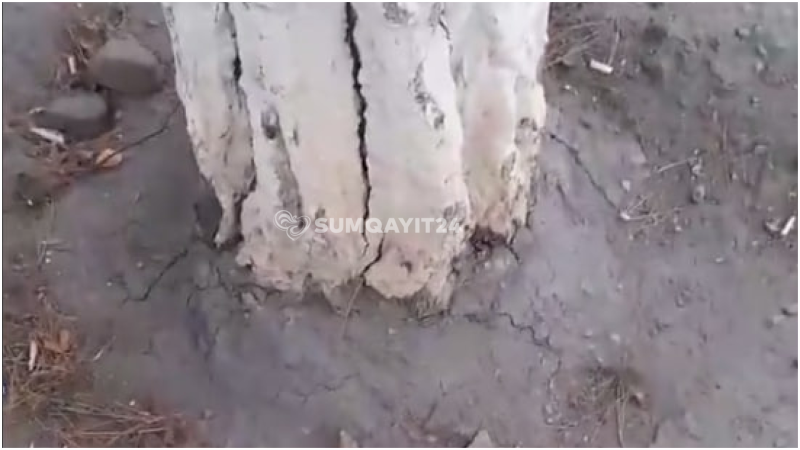 Sumqayıt parkında ağacları kəsmək üçün dibinə sement tökülür - İDDİA