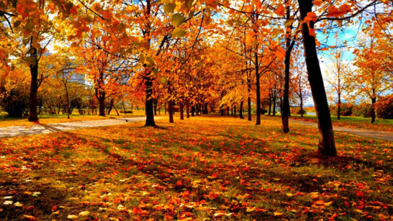 Noyabr Sumqayıta payızın sərin nəfəsini gətirəcək Noyabr Sumqayıta payızın sərin nəfəsini gətirəcək