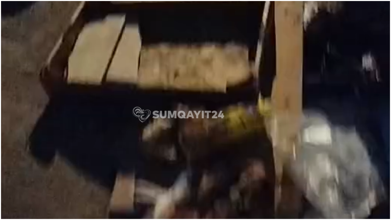 Sumqayıtda məktəbin ətrafı zibilliyə ÇEVRİLİB Sumqayıtda məktəbin ətrafı zibilliyə ÇEVRİLİB