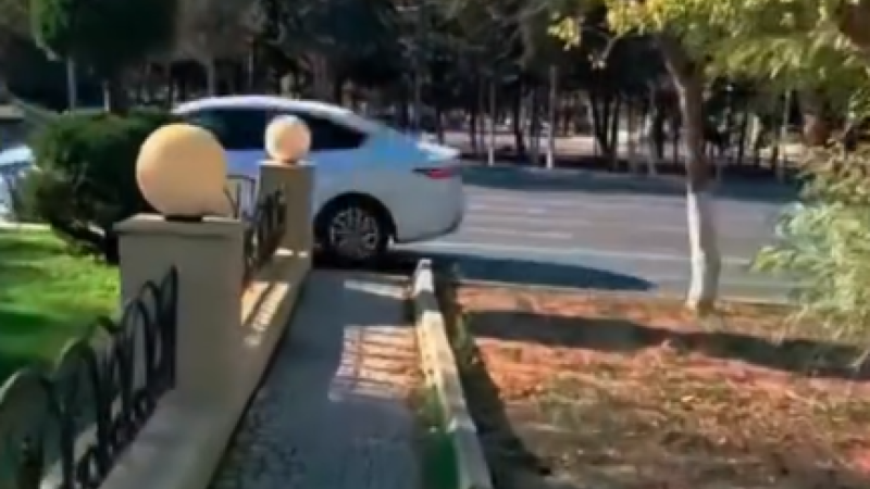 Sumqayıtda vətəndaşlar zebra AXTARIŞINDA