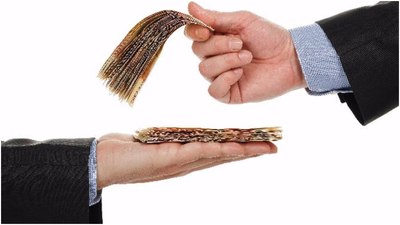 Gələn il orta əmək pensiyaları bu qədər olacaq