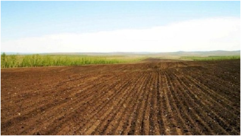 Sumqayıtda torpaq hərracları elan edilib