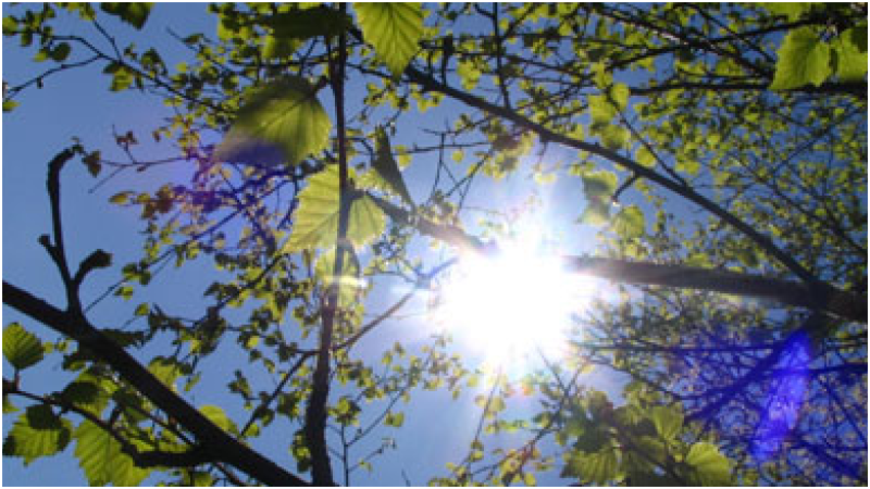 Sumqayıtda istirahət günü hava yağmursuz olacaq