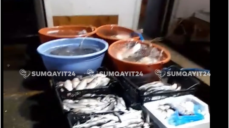 Sumqayıtın ən işlək küçəsi balıq iyində boğulur